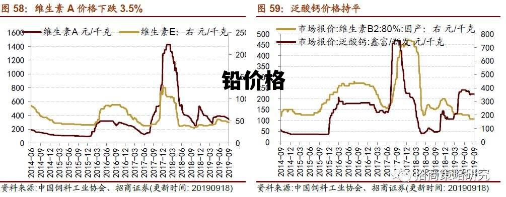 以死亡为名 第2页