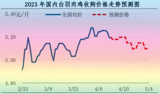 今日肉鸡价格最新价-最新肉鸡行情速览