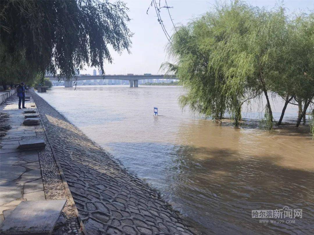 松花江水位实时动态