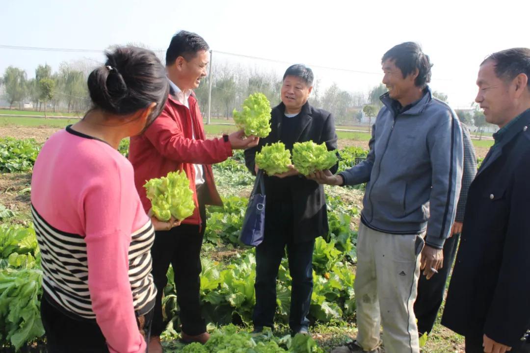 八戒、迩变帅乐