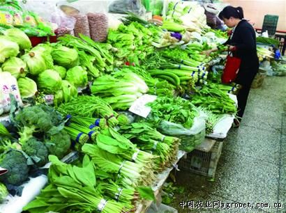 徐州蔬菜最新行情｜徐州蔬菜市场价格动态