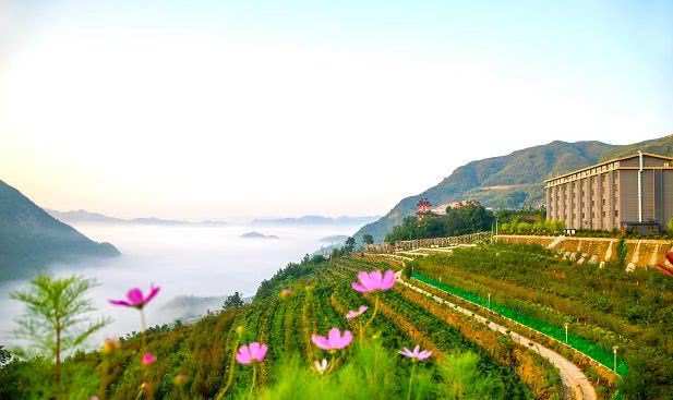 首山丽景一期最新消息-盛启新篇，首山丽景一期喜讯频传