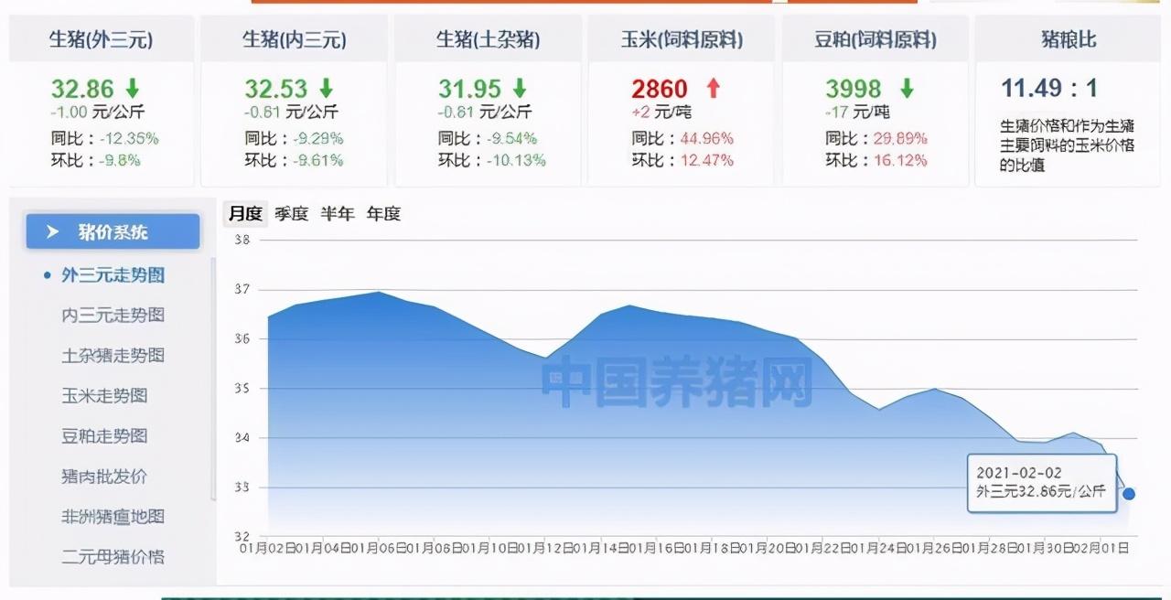 “全国猪价实时播报”