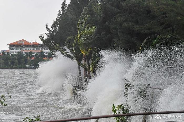 海南盛夏，台风助力生态美景焕新颜