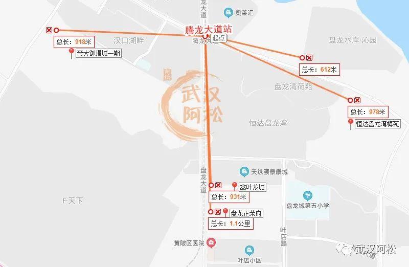 捕捉汉口湖畔地铁风采：最新高清实拍图集揭晓