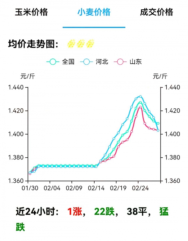 保定小麦市场价格动态